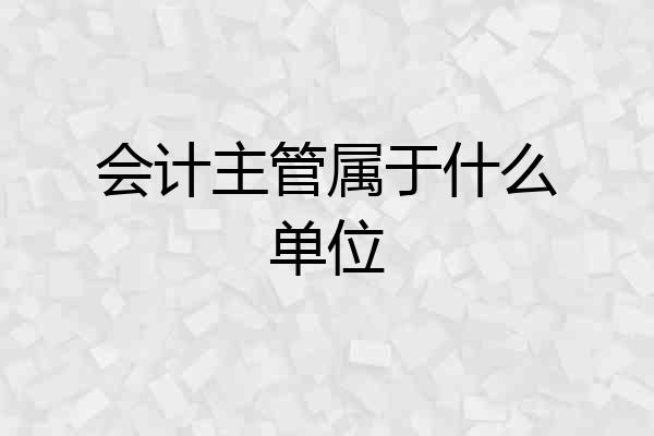 会计主管属于什么单位