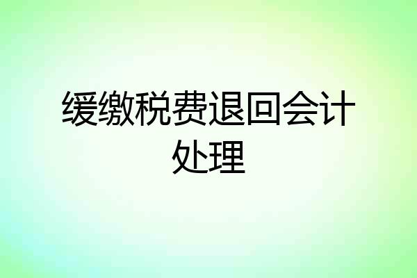 缓缴税费退回会计处理