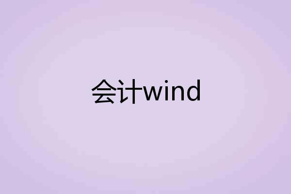 会计wind