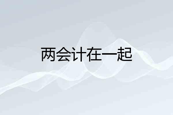 两会计在一起