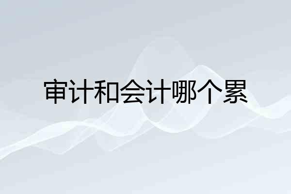 审计和会计哪个累