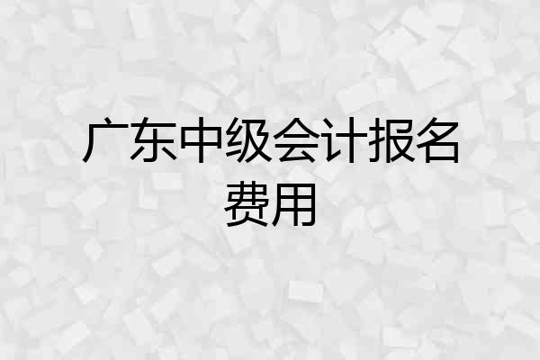 广东中级会计报名费用