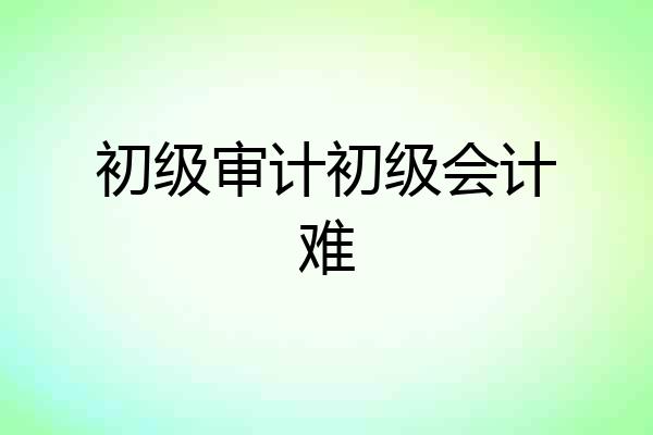 初级审计初级会计难