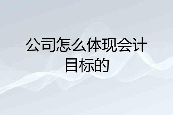 公司怎么体现会计目标的
