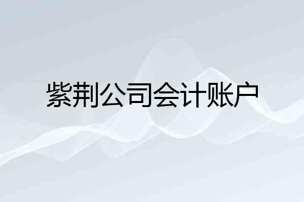 紫荆公司会计账户