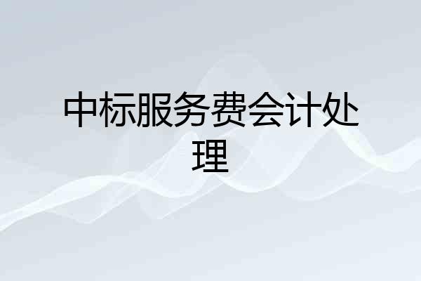 中标服务费会计处理