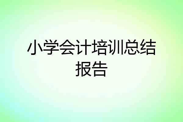 小学会计培训总结报告