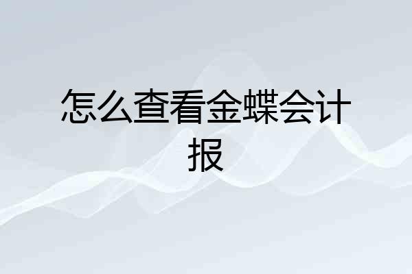 怎么查看金蝶会计报