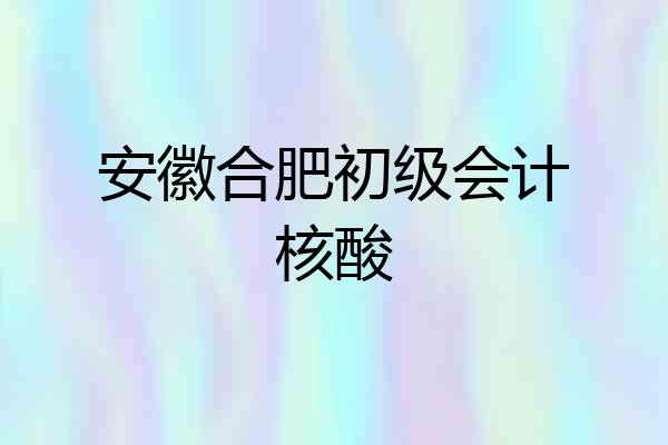 安徽合肥初级会计核酸