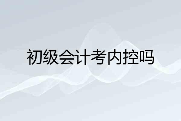 初级会计考内控吗