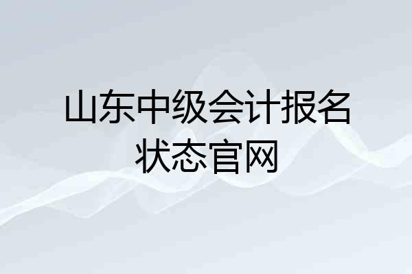 山东中级会计报名状态官网