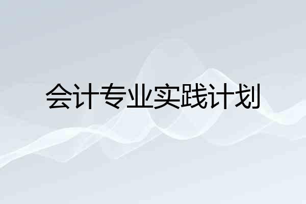 会计专业实践计划