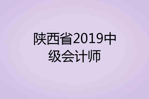 陕西省2019中级会计师