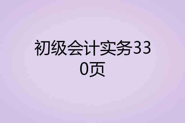 初级会计实务330页