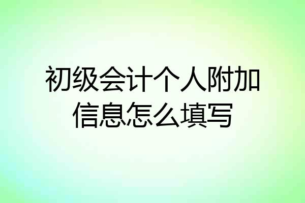 初级会计个人附加信息怎么填写
