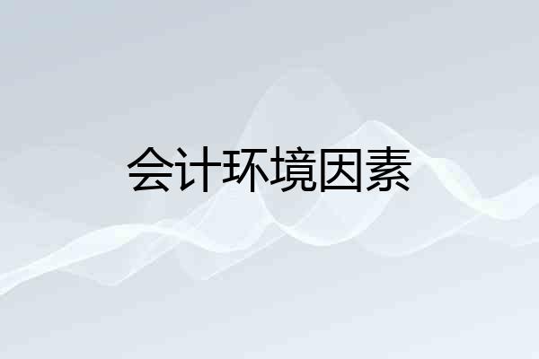 会计环境因素