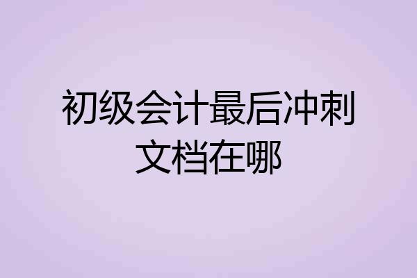 初级会计最后冲刺文档在哪