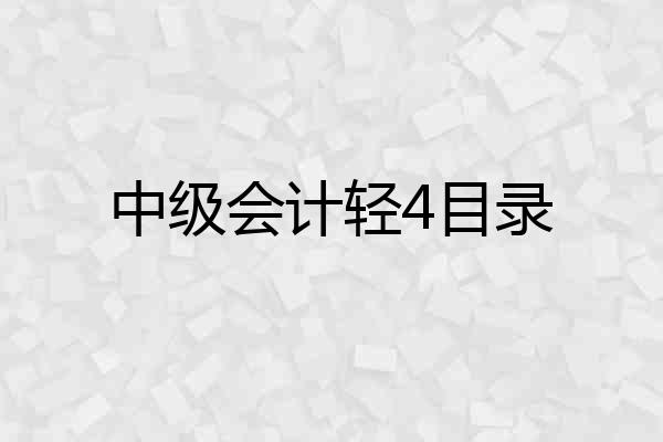 中级会计轻4目录