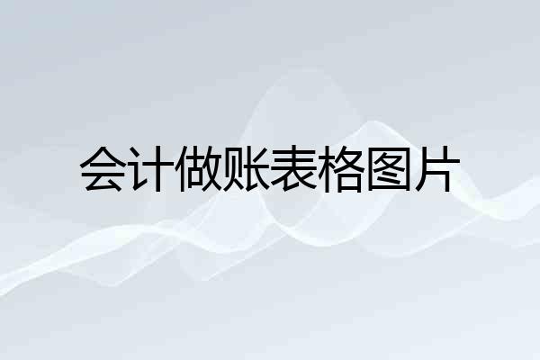 会计做账表格图片
