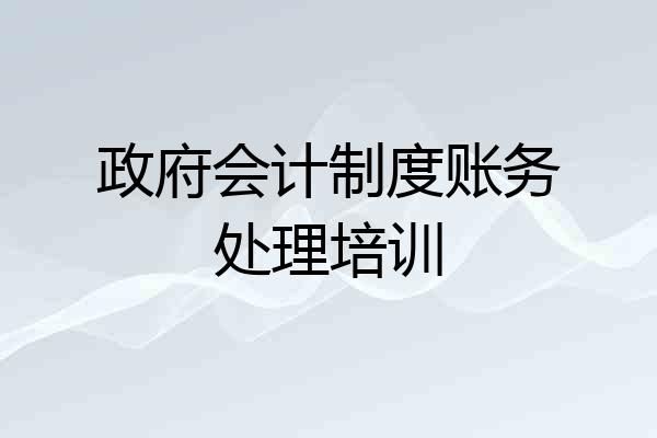 政府会计制度账务处理培训