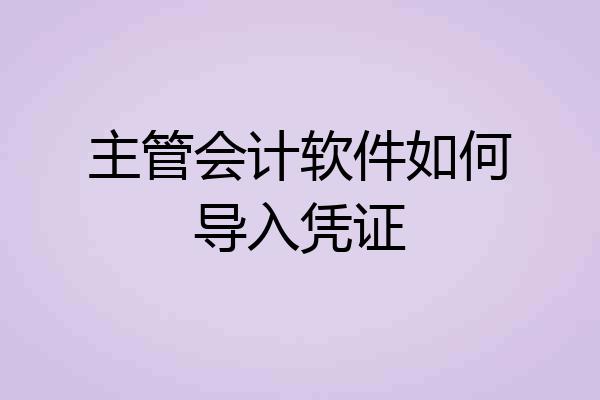 主管会计软件如何导入凭证
