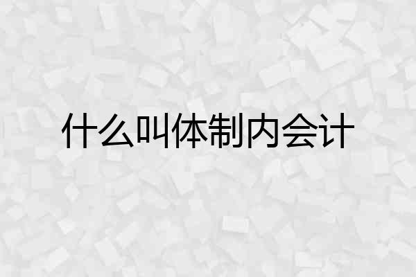 什么叫体制内会计
