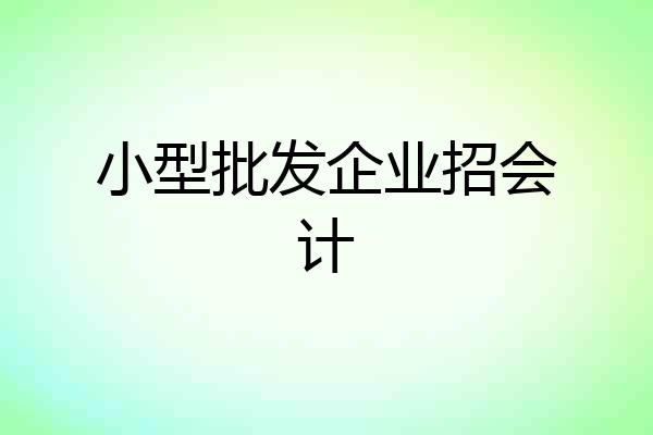 小型批发企业招会计