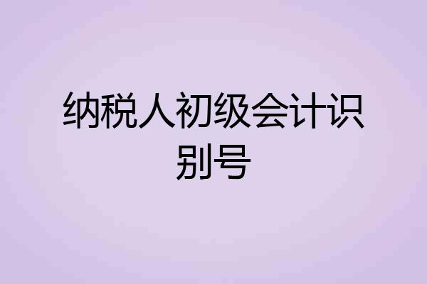 纳税人初级会计识别号
