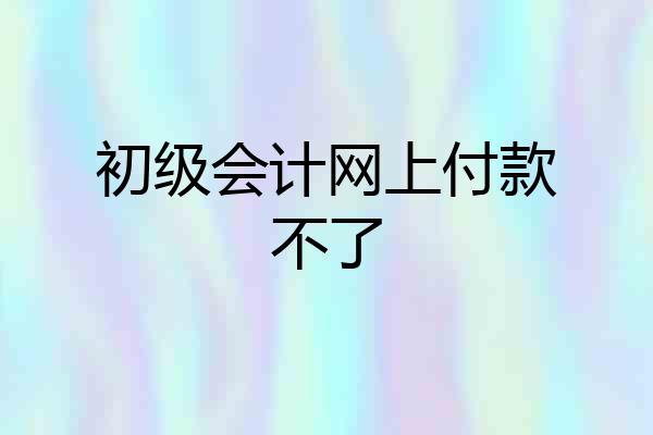 初级会计网上付款不了