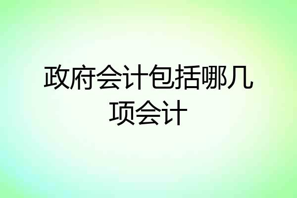政府会计包括哪几项会计