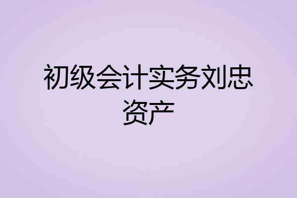初级会计实务刘忠资产