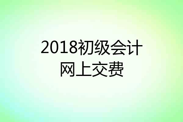 2018初级会计网上交费
