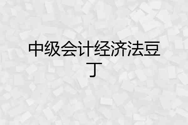 中级会计经济法豆丁