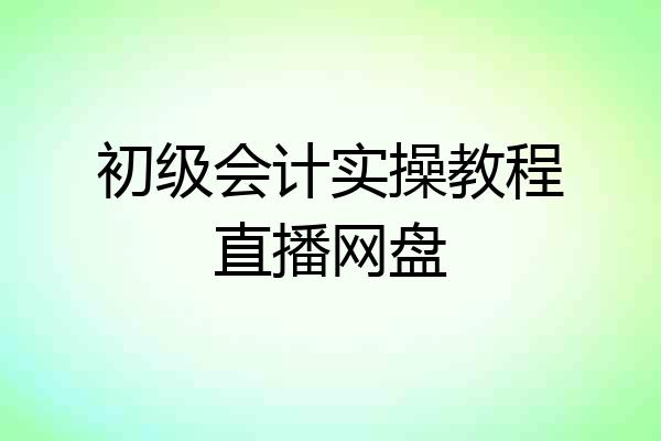 初级会计实操教程直播网盘