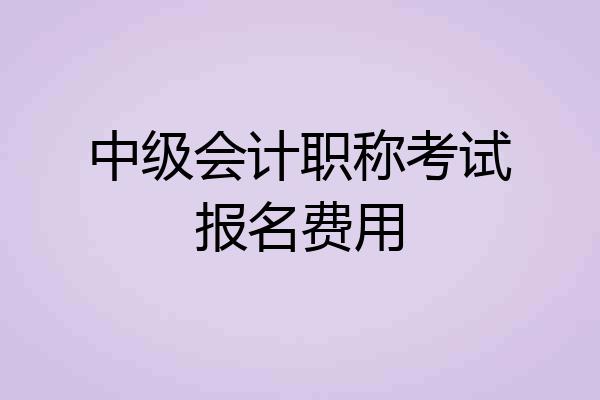 中级会计职称考试报名费用