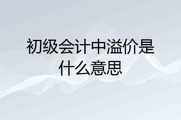 初级会计中溢价是什么意思