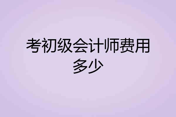 考初级会计师费用多少