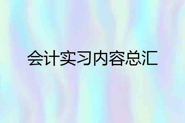 会计实习内容总汇