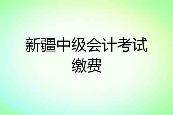新疆中级会计考试缴费