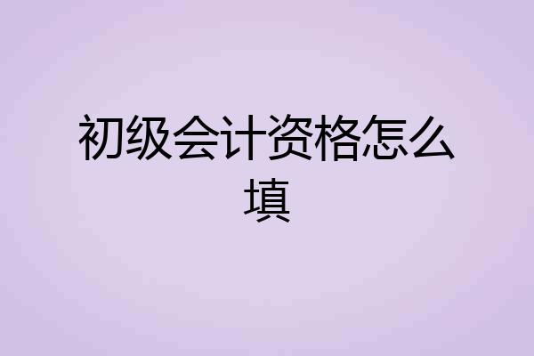 初级会计资格怎么填