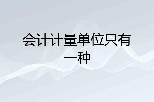 会计计量单位只有一种