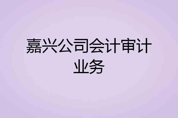 嘉兴公司会计审计业务