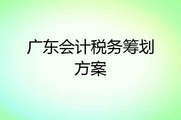 广东会计税务筹划方案