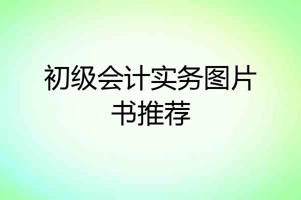 初级会计实务图片书推荐