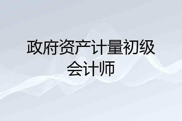 政府资产计量初级会计师