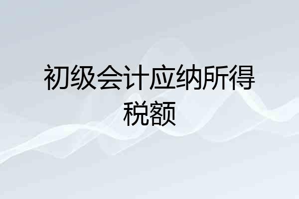 初级会计应纳所得税额