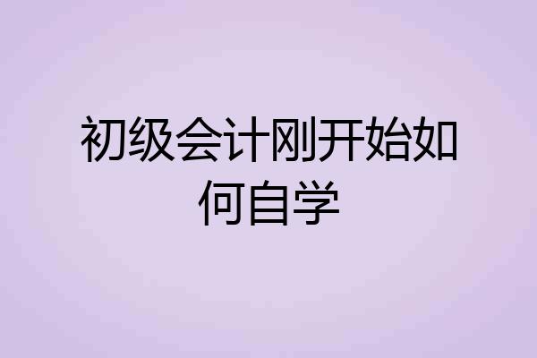 初级会计刚开始如何自学