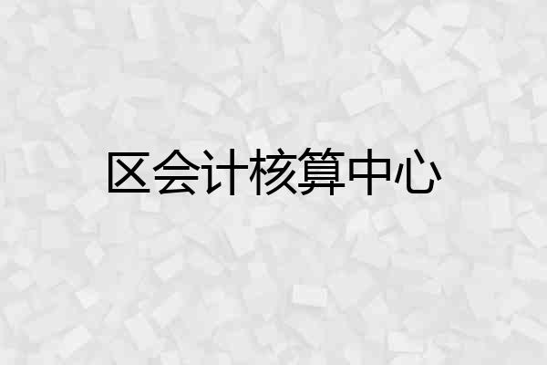 区会计核算中心