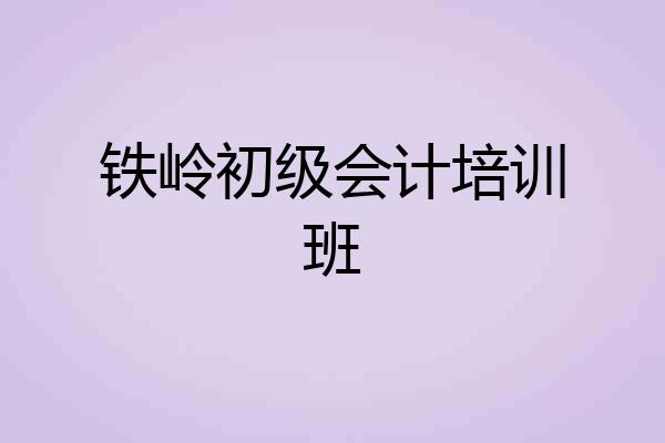铁岭初级会计培训班