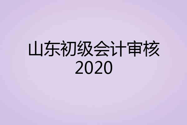 山东初级会计审核2020